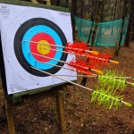 Arrows in the Target